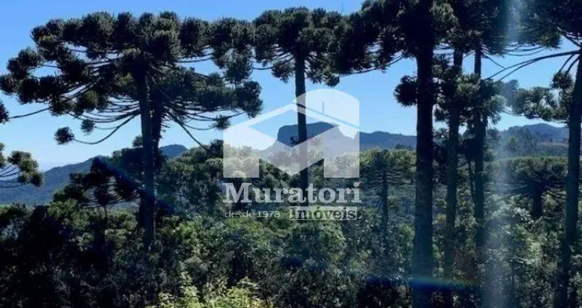 Terreno à venda na Praça São Benedito, 45, Barrado, Campos do Jordão