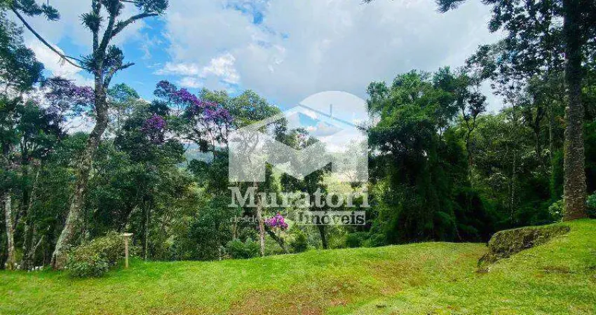 Terreno em condomínio fechado à venda na Avenida Alto da Boa Vista, 3500, Vale Encantado, Campos do Jordão