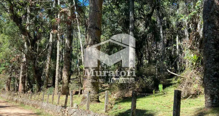 Terreno à venda na região do toriba em campos do jordão - ótima topografia