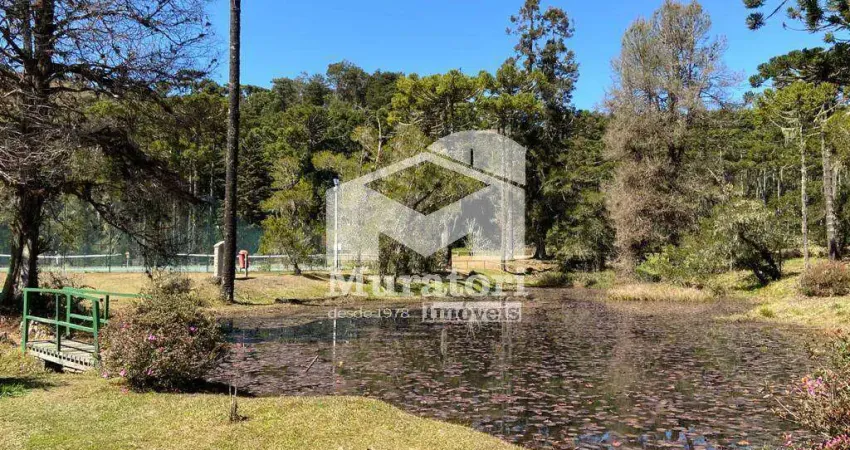 Terreno em condomínio fechado à venda na Avenida Pedro Paulo, 7.400, Descansopolis, Campos do Jordão