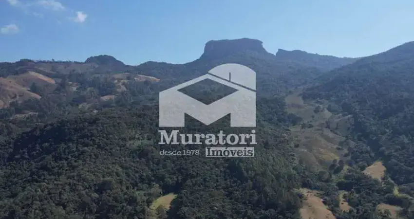 Chácara / sítio com 4 quartos à venda na Estrada do Torto, 1.123, Baú, São Bento do Sapucaí