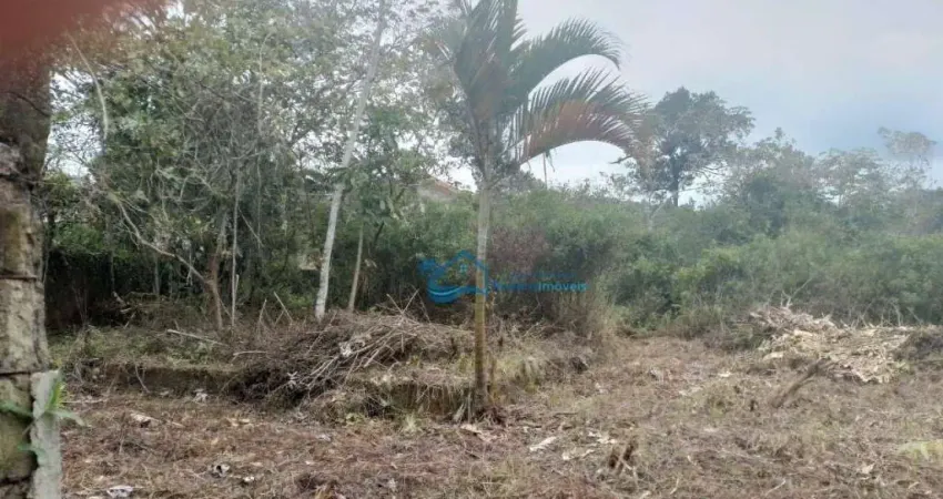Terreno à venda, 705 m² por R$ 800.000,00 - Jardim  São Lourenço - Bertioga/SP