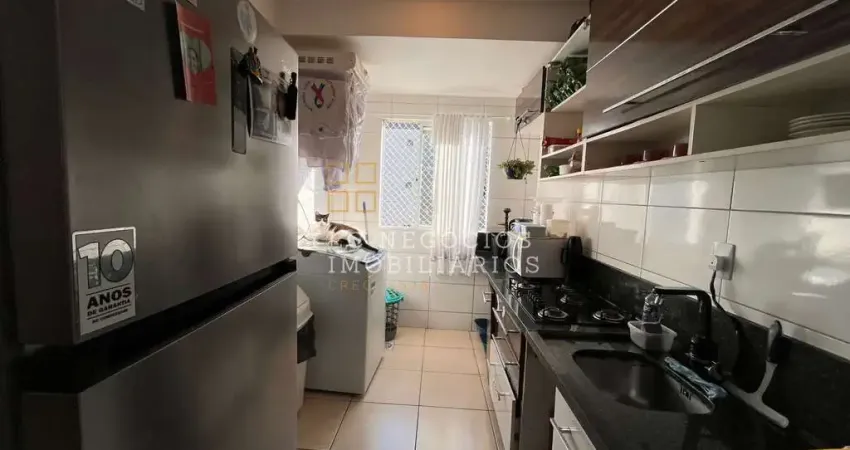 Apartamento à venda no bairro Guarda do Cubatão - Palhoça/SC