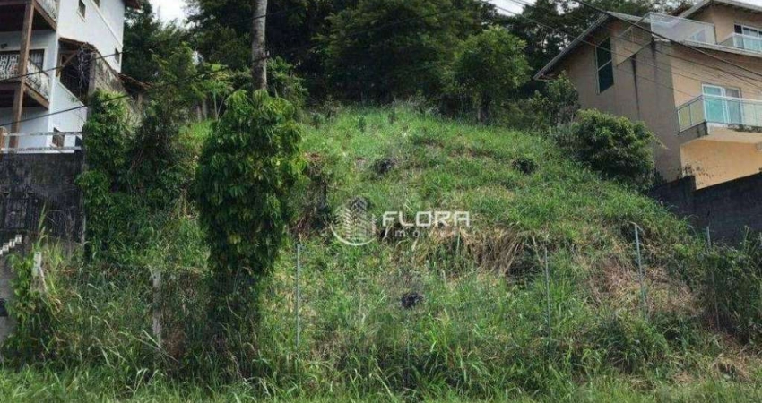 Terreno à venda, 750 m² por R$ 250.000,00 - Serra Grande - Niterói/RJ