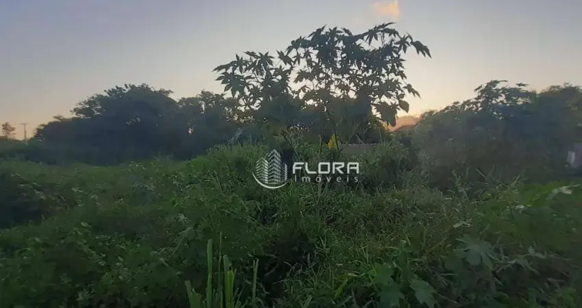 Terreno à venda, 450 m² por R$ 85.000 - Bosque Fundo - Maricá/RJ