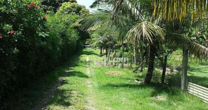 Sítio com 2 dormitórios à venda, 20000 m² por R$ 840.000,00 - Manoel Ribeiro (Ponta Negra) - Maricá/RJ