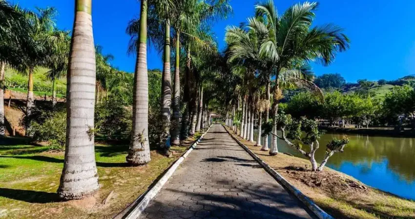 Sítio com 3 dormitórios à venda, 31374 m² por R$ 2.800.000,00 - Escalvados - Navegantes/SC