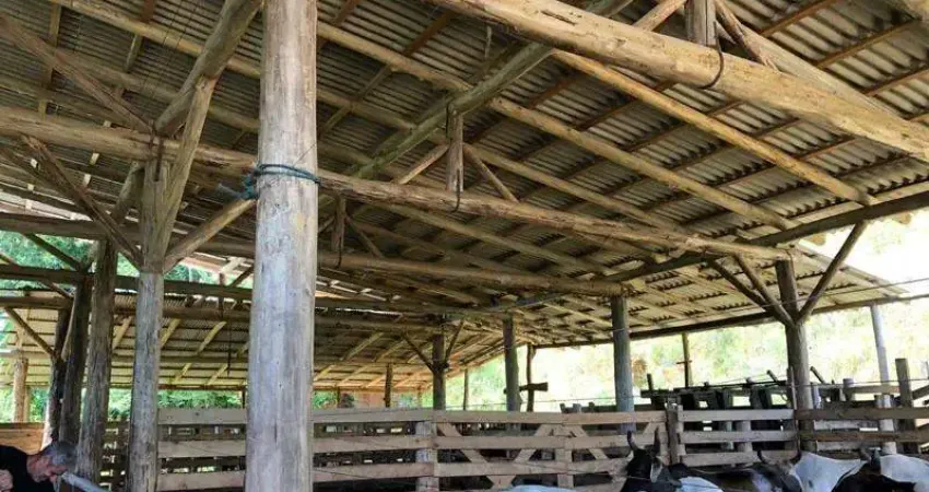 Chácara / sítio com 2 quartos à venda no Centro, Balneário Piçarras 