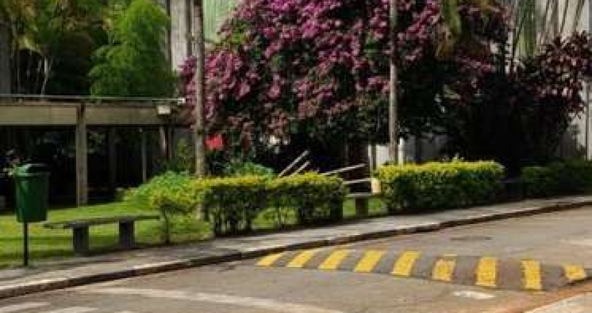 Barracão / Galpão / Depósito à venda na Rodovia Raposo Tavares, Sítio Boa Vista, Cotia