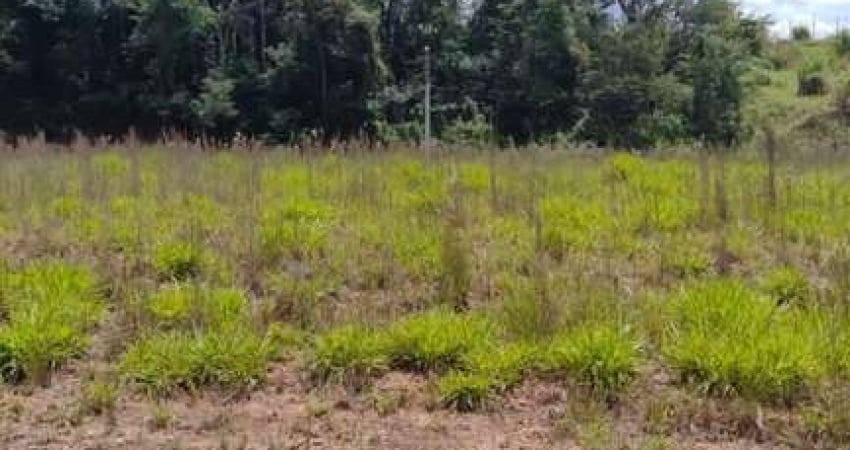 Lote para Venda em Santana de Parnaíba, Loteamento Jardim das Flores