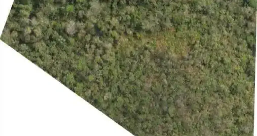 Lote para venda em cabreúva, fazenda sossego (são francisco)