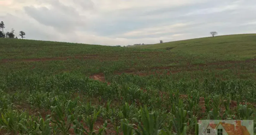 Fazenda à venda na Rua Ribeirão Bonito, Vila Moinho Velho, São Paulo