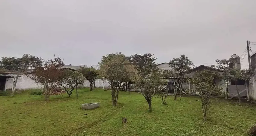 Terreno comercial para alugar na Rua José Luiz Marcelino, 127, Salseiros, Itajaí