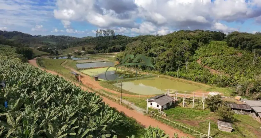 Terreno à venda na Rua João Silveira, 1, Nova Descoberta, Balneário Piçarras