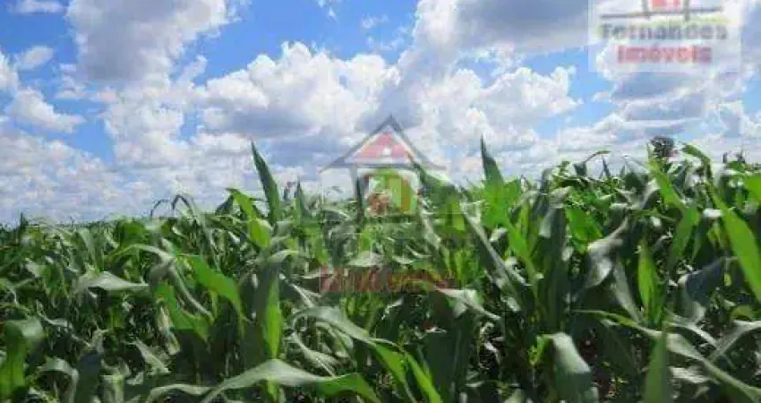 Fazenda à venda no Centro, Dourados 