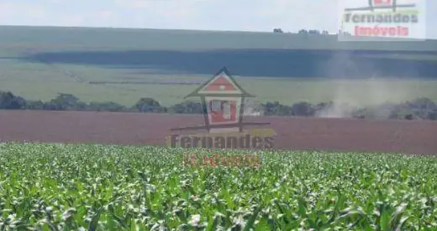 Fazenda à venda, 2.100 HA  - Dourados/MS