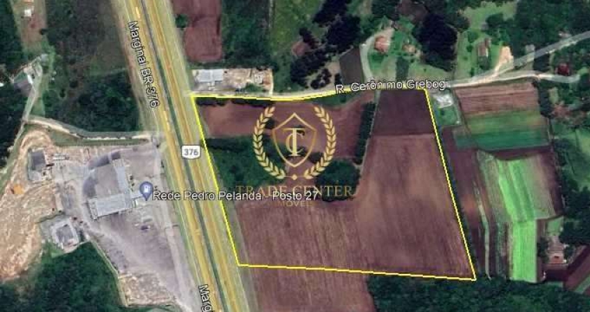 Terreno comercial à venda na Rodovia BR-376 - Marginal, --, Campo Largo da Roseira, São José dos Pinhais