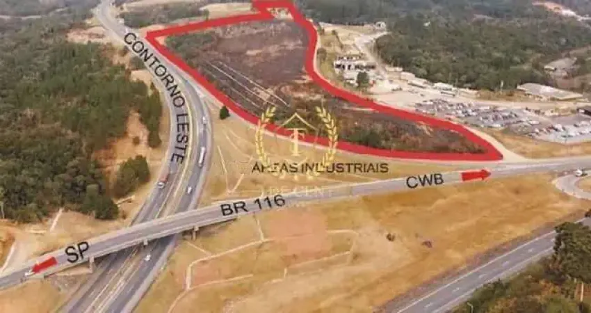 Terreno comercial à venda na Rua Arnaldo Perine / BR 116, --, Jardim Pinheiros, Quatro Barras