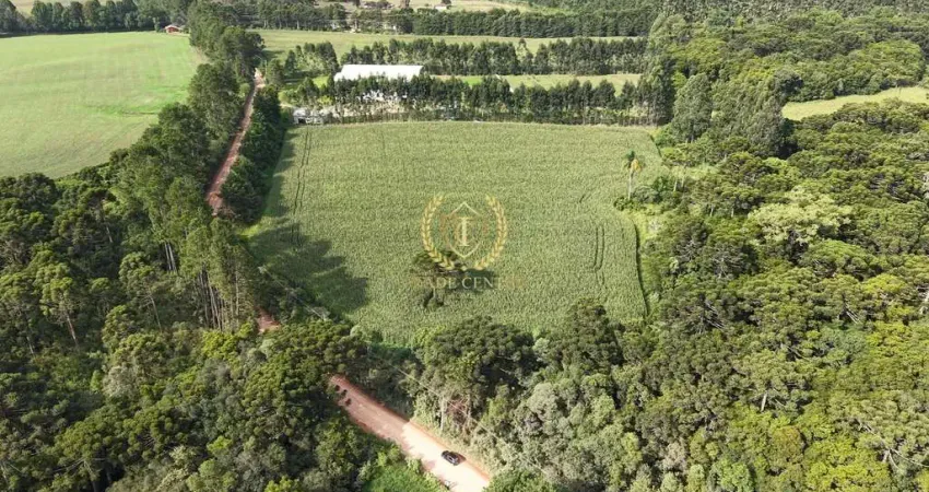 Terreno à venda na Rua Pedro Buhrer, --, Campo Largo da Roseira, São José dos Pinhais