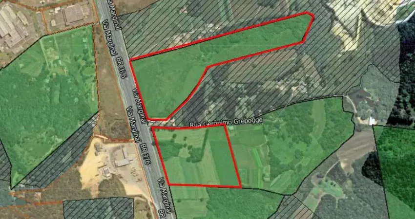 Terreno comercial à venda na Rodovia BR-376 - Marginal, --, Campo Largo da Roseira, São José dos Pinhais