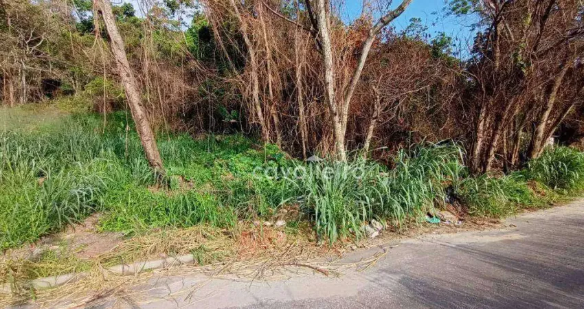 Terreno à venda, 1260 m² por R$ 180.000,00 - Jardim Atlântico Oeste (Itaipuaçu) - Maricá/RJ