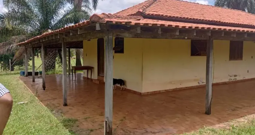 FAZENDA DUPLA APTIDÃO COM AMENDOIM COM 40 ALQUEIRES PAULISTAS EM MACAUBAL - SP