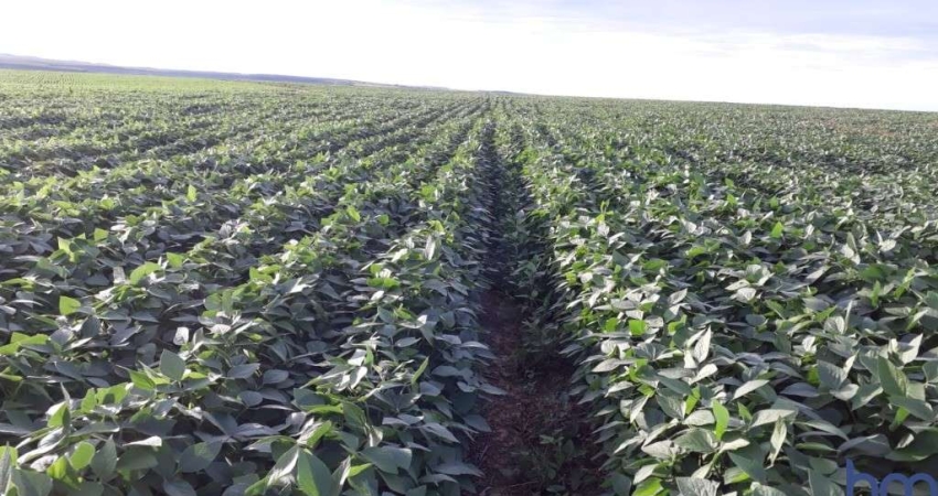 FAZENDA DUPLA APTIDÃO COM 132,6 ALQUEIRES EM TRÊS MARIAS - MG