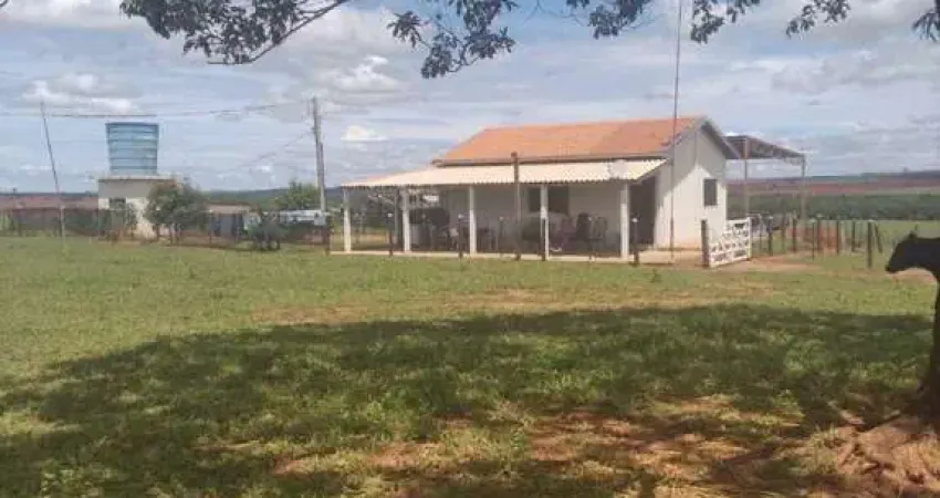 FAZENDA PARA AGRICULTURA EM AMENDOIM COM 84,5 ALQUEIRES PAULISTAS EM JUNQUEIRÓPOLIS - SP