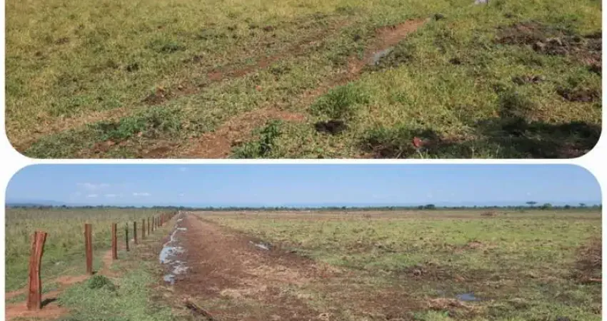 FAZENDA PARA PECUÁRIA COM 130 ALQUEIRES EM FORMOSA - GO