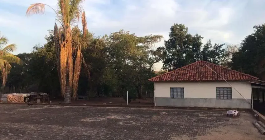 FAZENDA PARA AGRICULTURA COM SERINGUEIRAS COM 14 ALQUEIRES PAULISTAS EM MIRASSOLÂNDIA - SP