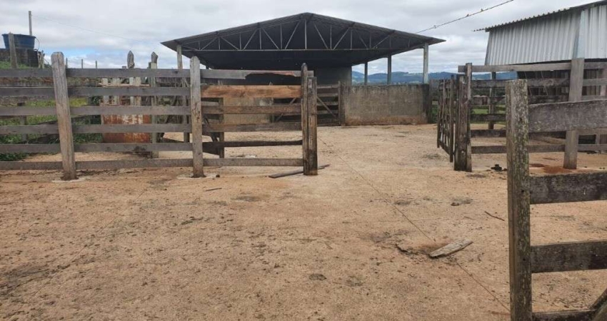 FAZENDA DUPLA APTIDÃO COM 150 HECTARES EM POUSO ALEGRE - MG