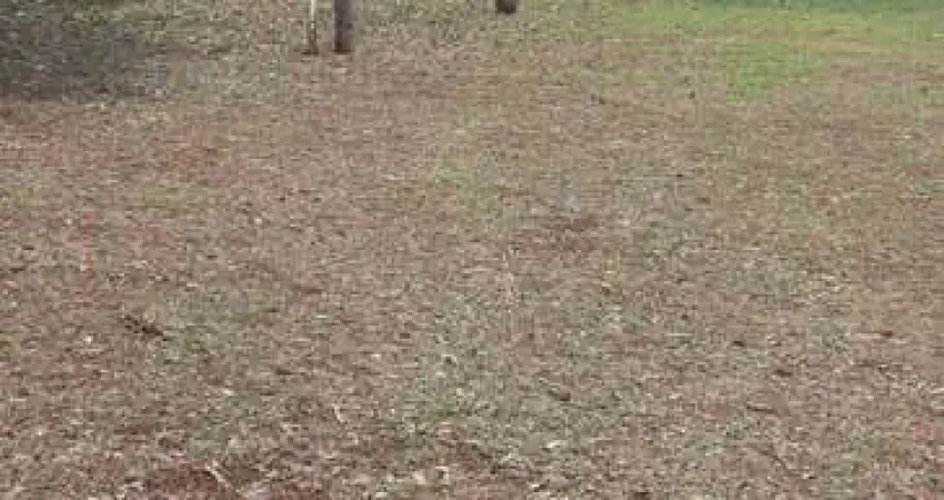 Fazenda à venda na Estrada Vicinal Municipal de Panamá, KM 07, Zona Rural, Panamá