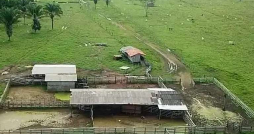 FAZENDA COM 220 ALQUEIRES DUPLA APTIDÃO NO MUNICÍPIO DE SÃO FÉLIX DO XINGU - PA