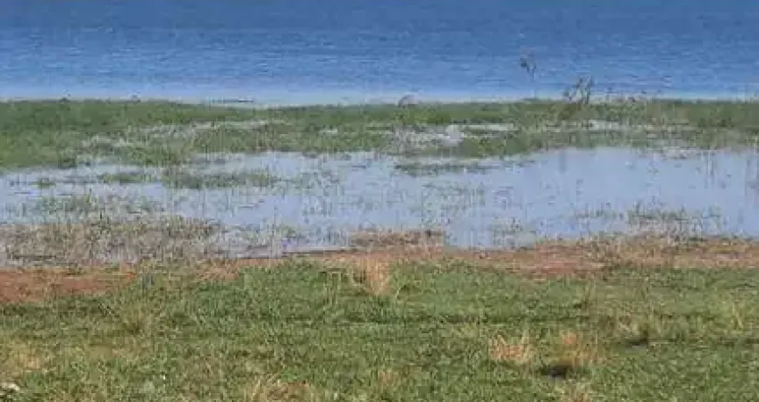 Fazenda para agricultura em cana com 90 alqueires paulistas em guaraci - sp