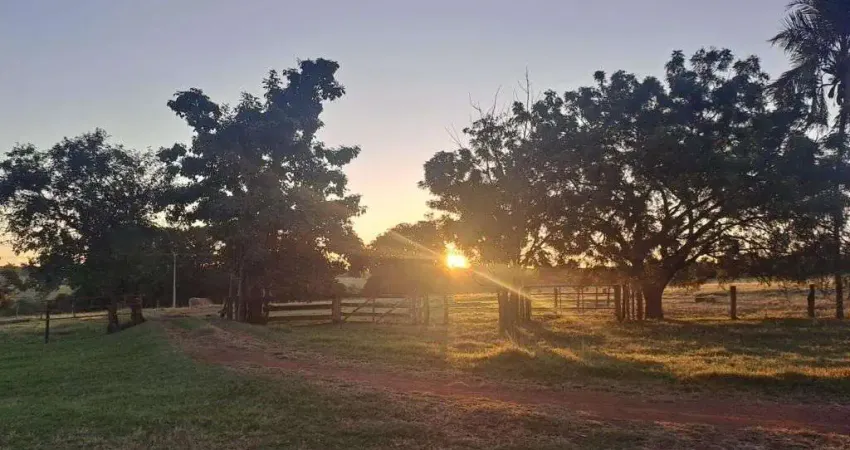 FAZENDA 16 ALQUEIRES DUPLA APTIDÃO EM COMENDADOR GOMES-MG