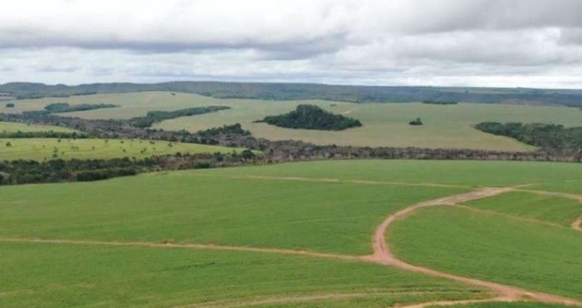 FAZENDA COM 207 ALQUEIRES DUPLA APTIDÃO COM CANA EM MINEIROS - GO