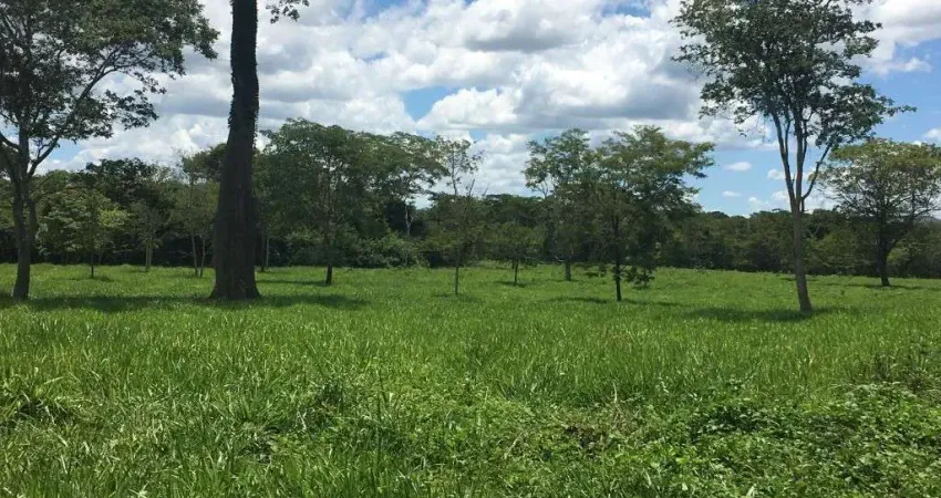 FAZENDA DUPLA APTIDÃO COM 415 ALQUEIRES EM MIMOSO - GO