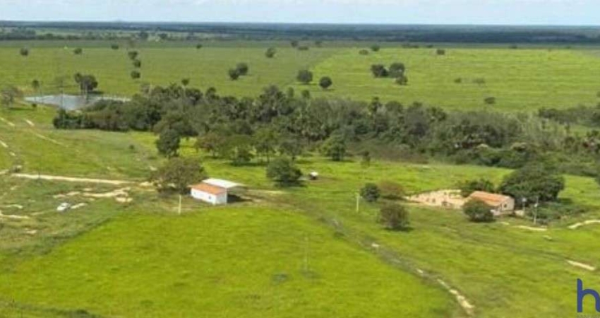 FAZENDA DUPLA APTIDÃO COM 100 ALQUEIRES EM SUCUPIRA - TO