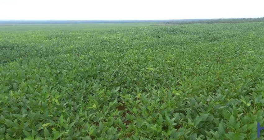 FAZENDA PARA AGRICULTURA COM 10.000 HECTARES EM PEDRO AFONSO - TO