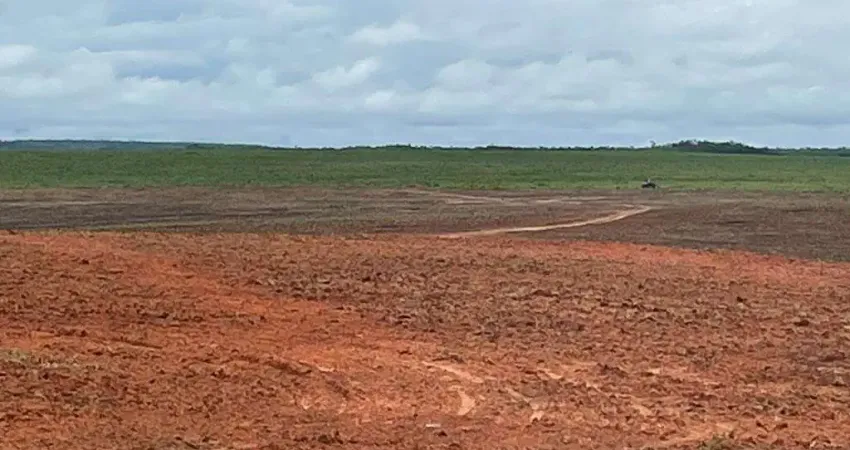 FAZENDA BRUTA DE DUPLA APTIDÃO COM 887 ALQUEIRES EM LAGOA DO TOCANTINS - TO