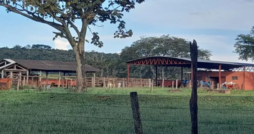 Fazenda à venda na Estrada Vicinal Municipal do Prata, Km 5,2, Zona Rural, Prata