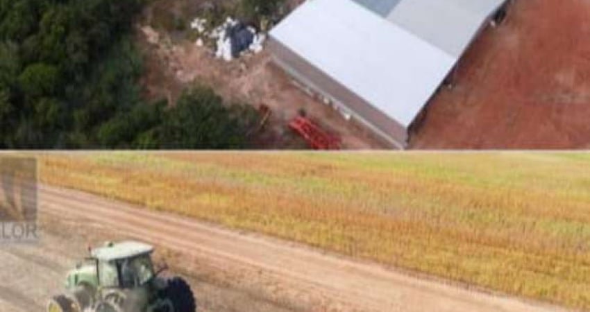 FAZENDA DUPLA APTIDÃO COM 690 ALQUEIRES EM ARAGUAÍNA - TO