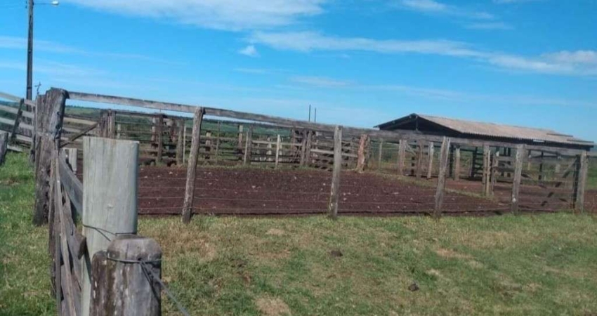 FAZENDA DUPLA APTIDÃO COM 187 ALQUEIRES EM NOVA AURORA - GO