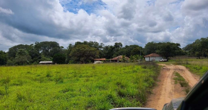 FAZENDA COM 286 ALQUEIRES DUPLA APTIDÃO EM FORMOSO DO ARAGUAIA - TO