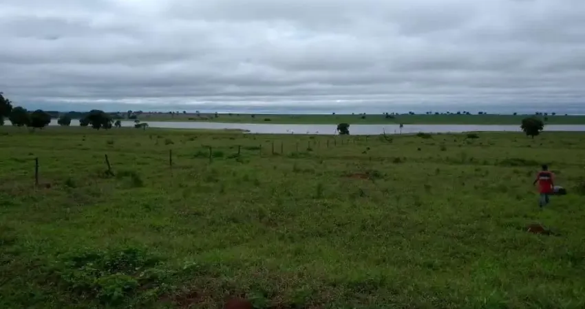 Fazenda com 110 alqueires dupla aptidão no município de paranaiguara - go