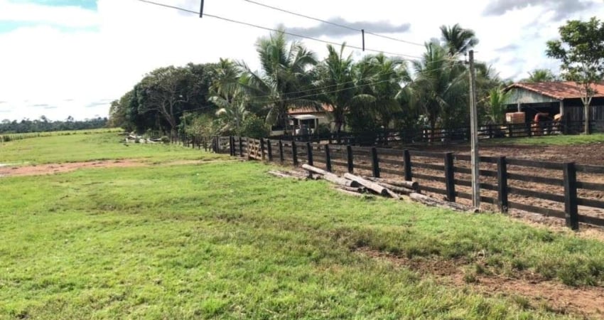 FAZENDA COM 400 ALQUEIRES PARA PECUÁRIA NO MUNICÍPIO DE SÃO FÉLIX DO XINGU - PA