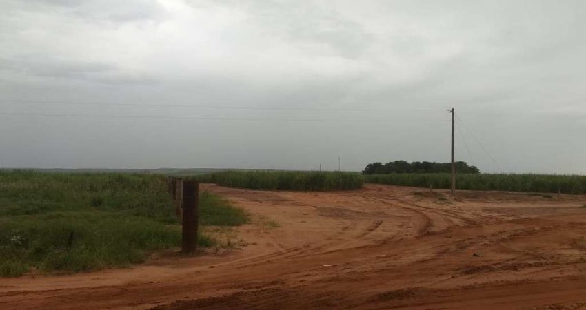 FAZENDA DUPLA APTIDÃO 470 ALQUEIRES EM CANA MUNICÍPIO DE MINEIROS-GO