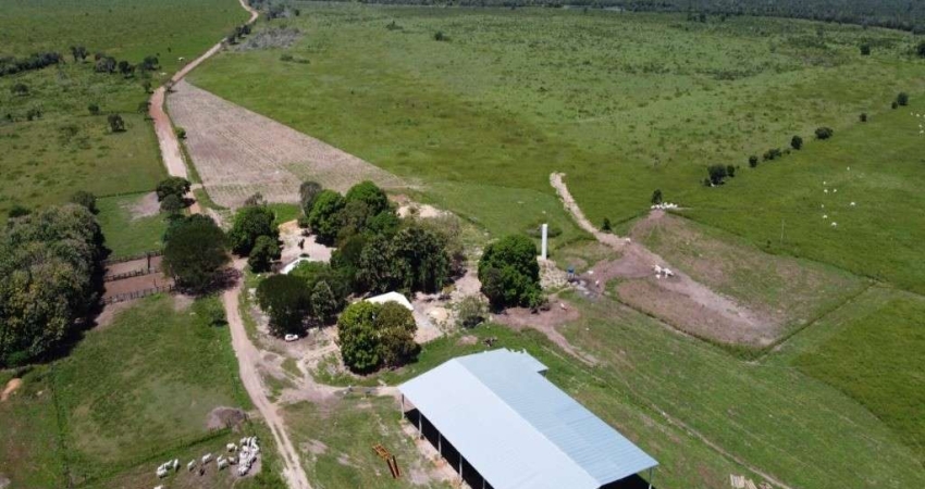 Fazenda à venda na Estrada Vicinal Municipal de Peixe, km 49,5, Zona Rural, Peixe