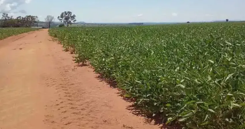 Fazenda com ótimo aproveitamento para agricultura com 300 alqueires em baliza-go