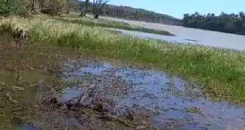 Fazenda dupla aptidão com 10.000 hectares área bruta em barão de grajaú - ma